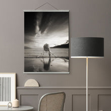 Charger l'image dans la galerie, Picture Frames