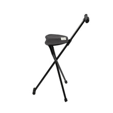 Load image into Gallery viewer, Canes &amp; Walking Sticks
Folding Canes 

